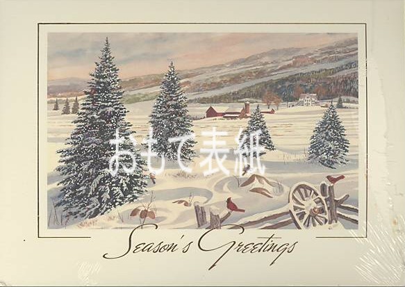 Forest Seasons Greeting Card